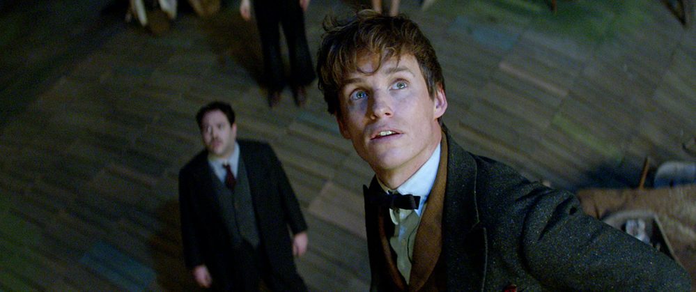 FANTASTIC BEASTS AND WHERE TO FIND THEM review