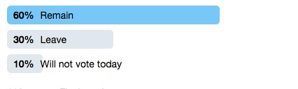 How gay people voted on EU