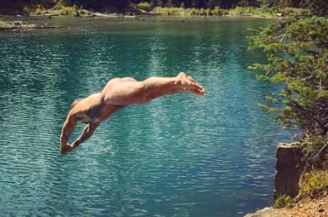 Gus Kenworthy gets completely naked for Alpine skinny dip