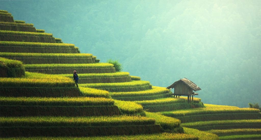 Which are the most gay-friendly countries in Asia? 2
