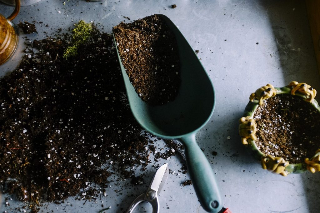 Here's what you need to do in your garden in January 5