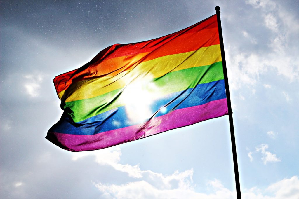 Which LGBT+ Rainbow Flag is the best flag to fly for Pride Month?