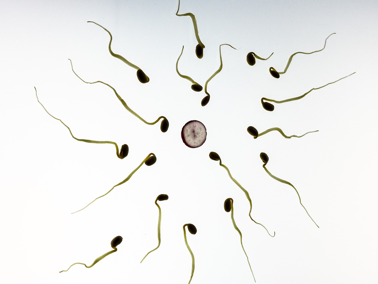 DILEMMA | Will I be forced to pay for a child for which I donated sperm?