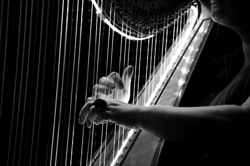 From String Quartets to Wedding singers find the perfect musician for your wedding.