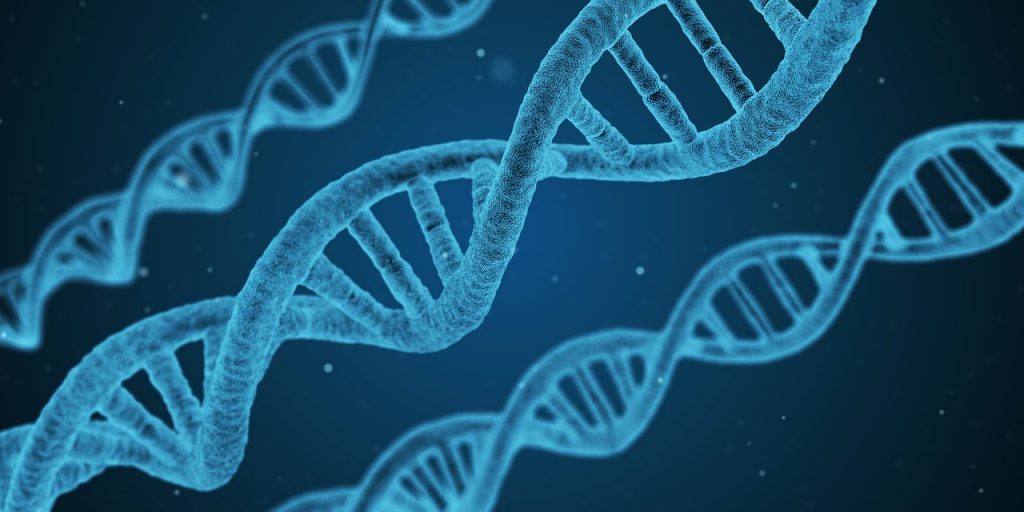 Discovered: Sexuality has a genetic basis (in part) 3