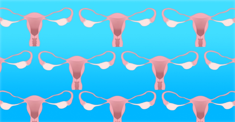 Guys with cervixes, don't forget to book yourself for a smear test 1