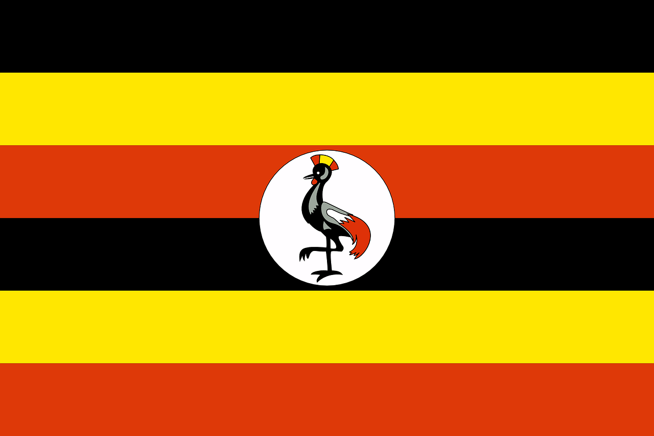 Gay-friendly bar in Uganda raided, 125 arrested