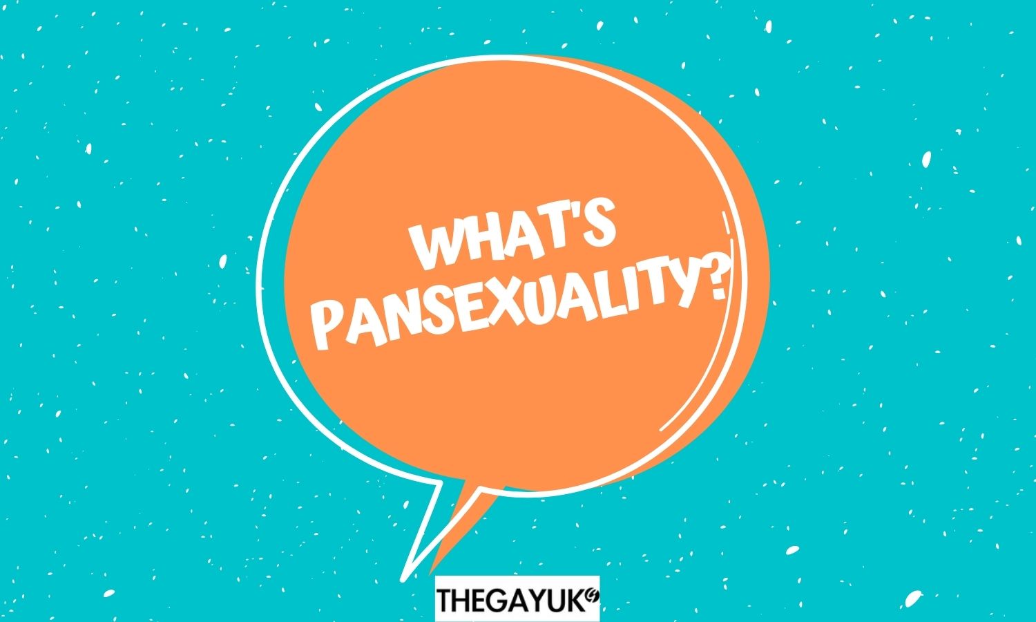 What does pansexual and pansexuality mean?