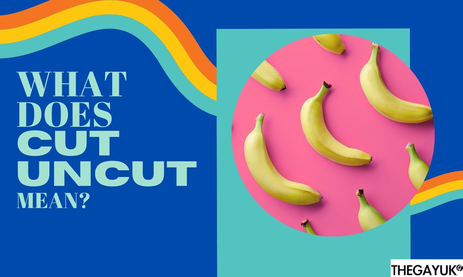 Gay Dating | What does “cut/uncut” mean?