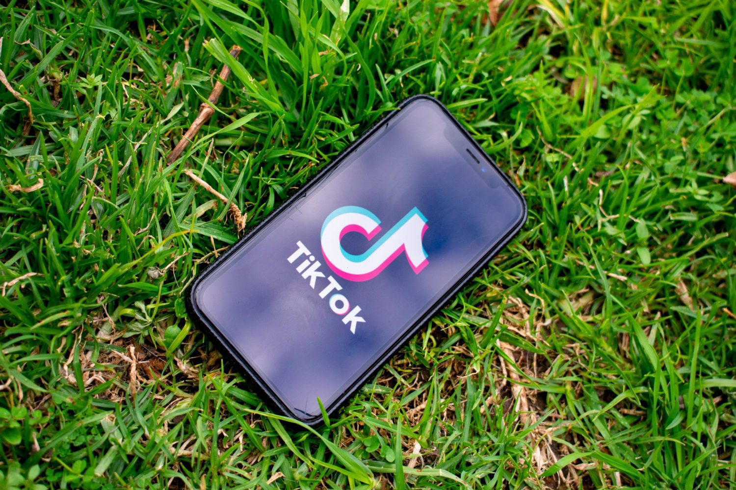 iPhone displaying the TikTok app