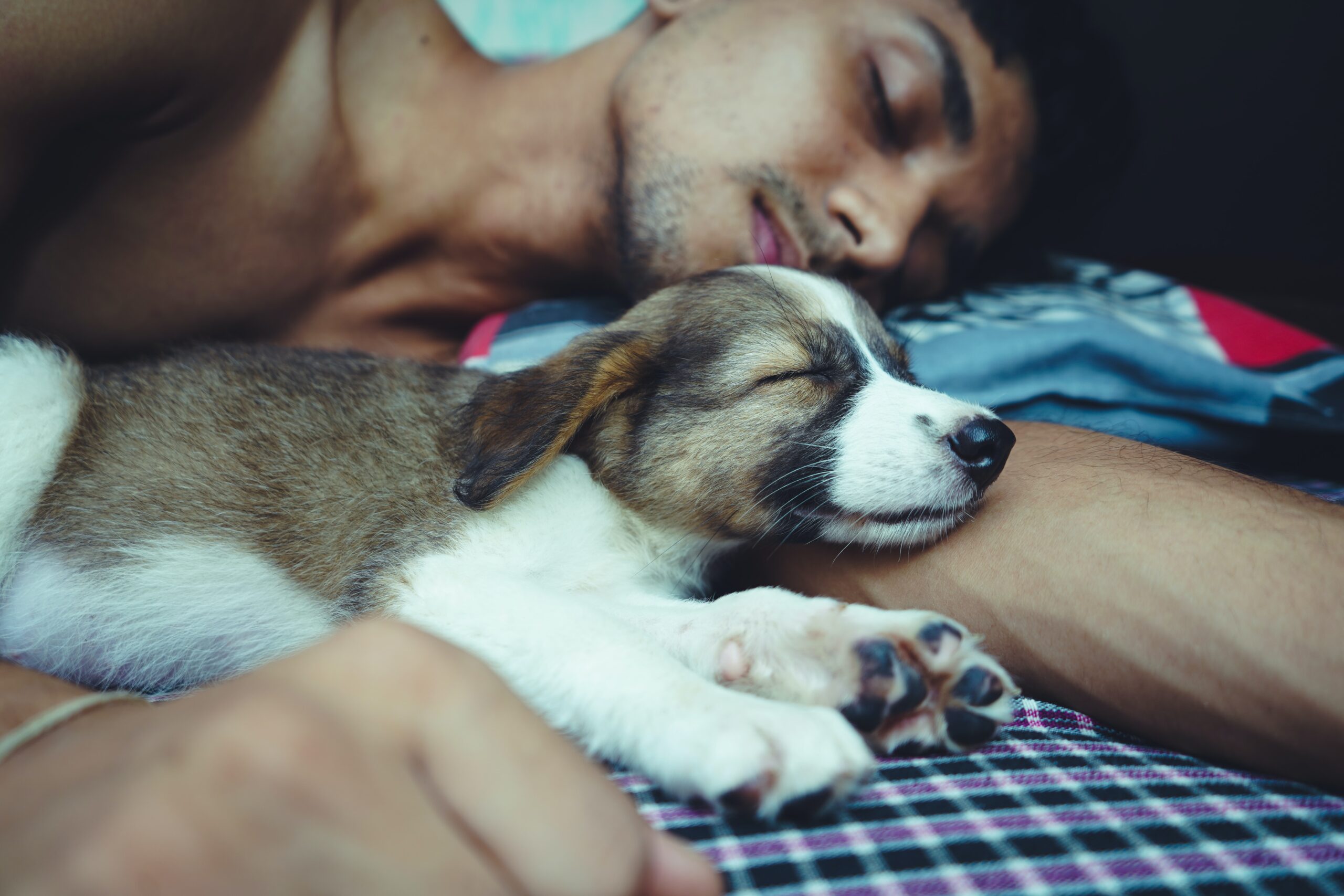 ERECTION PROBLEMS | 10 things that destroy your erection 3 tiredness can cause erection problems. Make sure you're getting enough sleep.