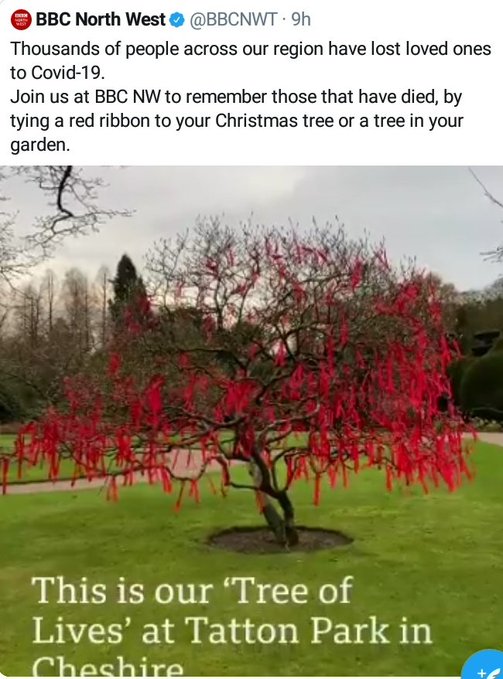 BBC accused of appropriating HIV/AID red ribbon symbol for its COVID-19 Tree of Lives 2 bbc tree of lives