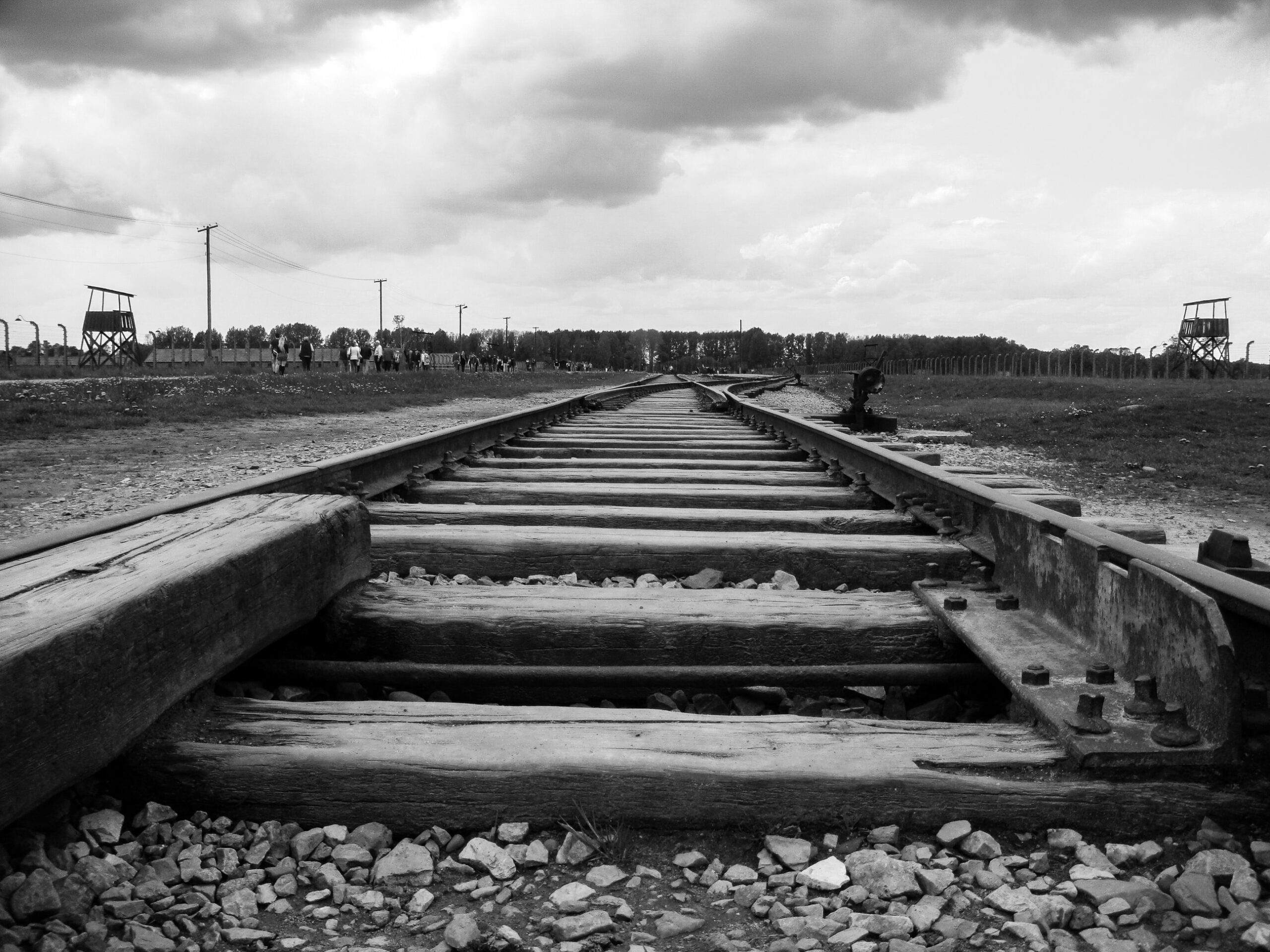 TRAVEL: Lessons From Auschwitz 2 selective focus photography of train rail