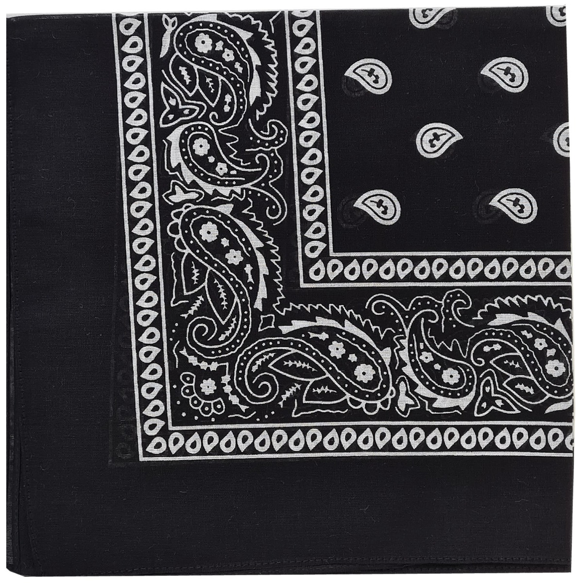What is the gay hanky code? And what do the colours mean? 3 What does the black hanky in the hanky code mean?
