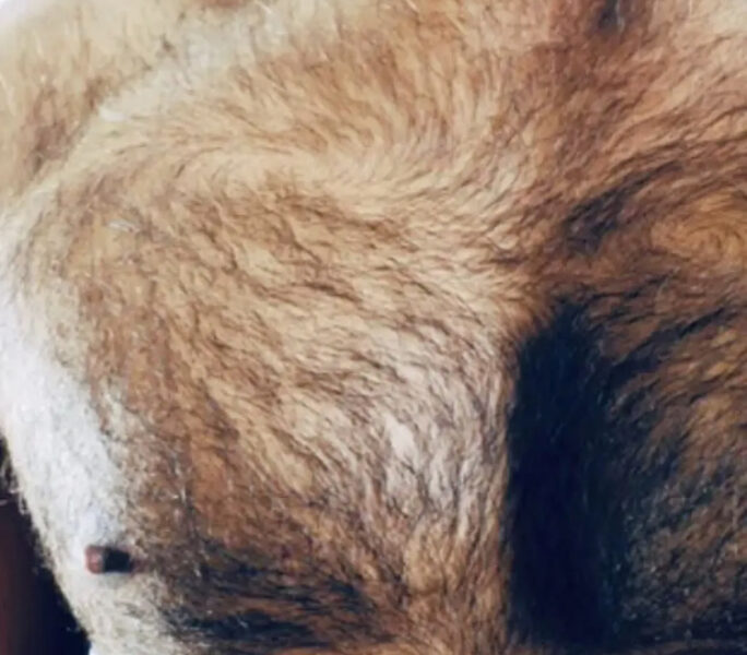 Massage & Manscaping Brighton